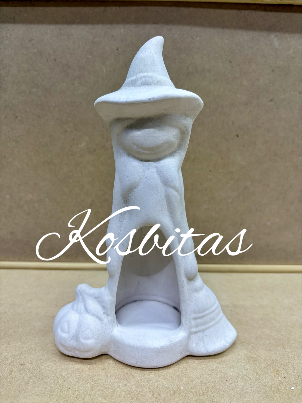 Bruja escoba calabaza