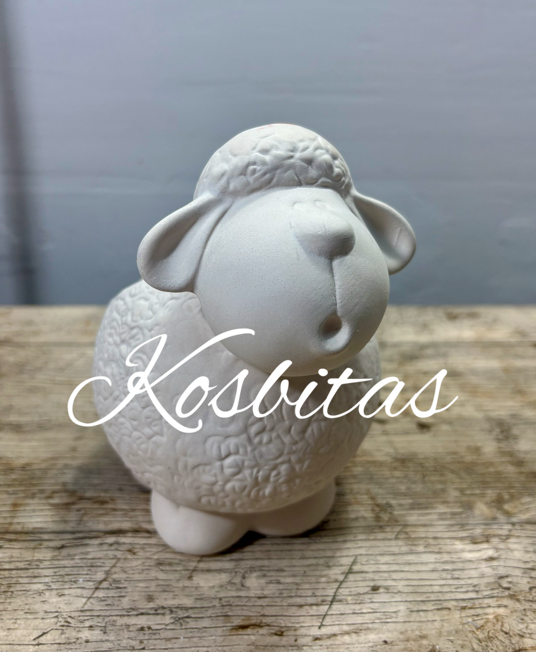 Borrego chiflador maceta