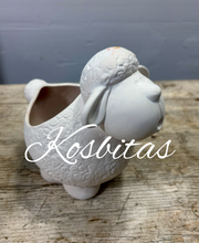 Cargar imagen en el visor de la galería, Borrego chiflador maceta
