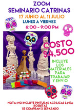 Cargar y reproducir el video en el visor de la galería, Seminario Catrinas
