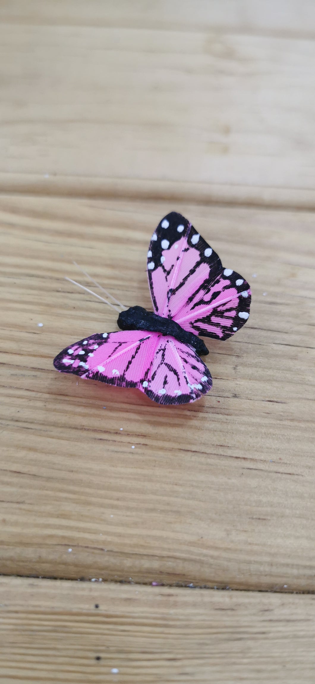 Mariposa grande rosa fluorescente