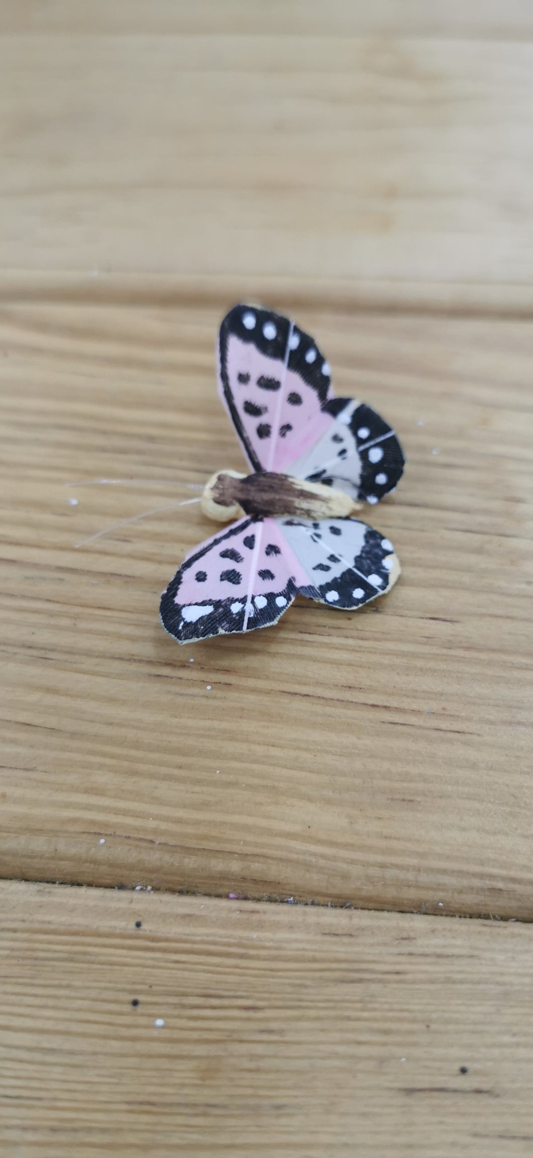 Mariposas grande blanco con rosa