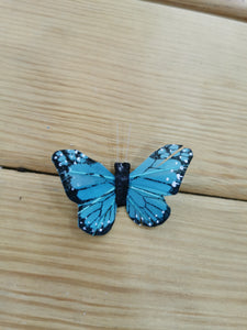 mariposa grande azul