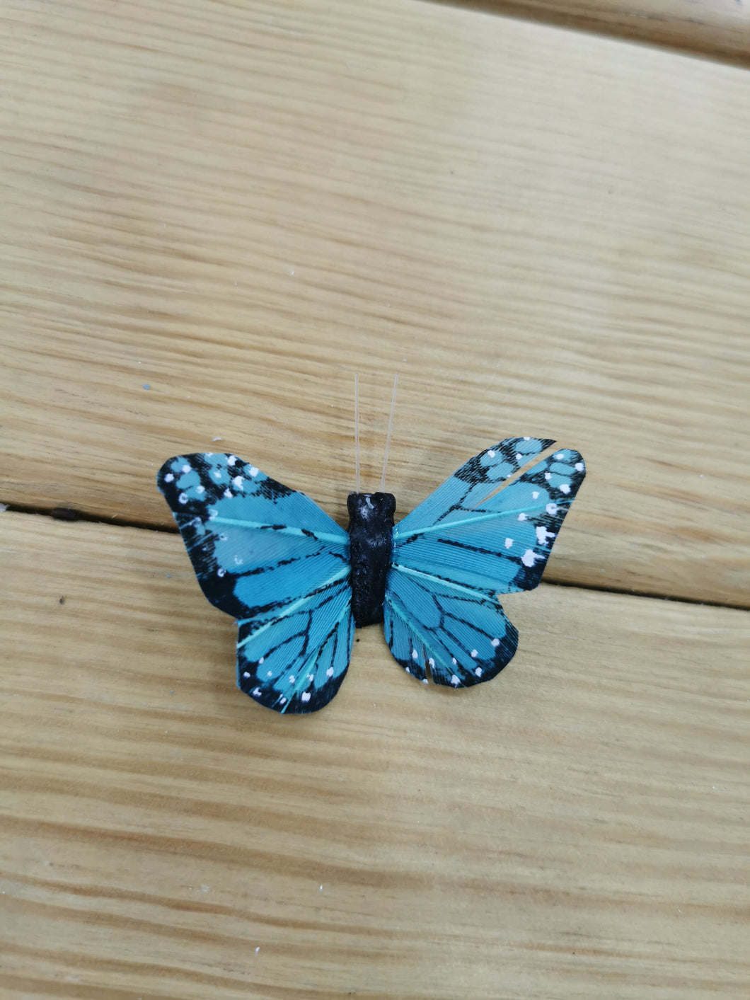 mariposa grande azul