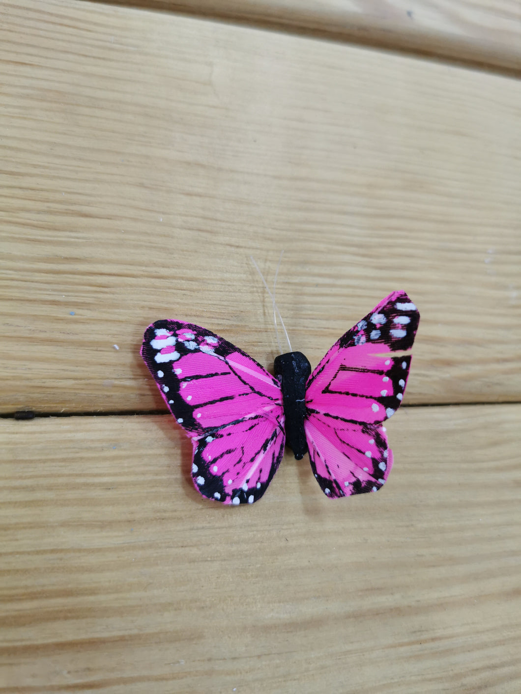 mariposa grande rosa fluorescente