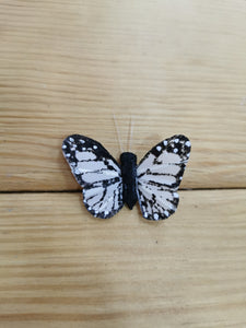 mariposa mediana blanca