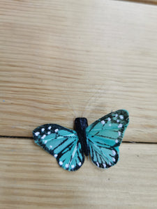 mariposa mediana azul