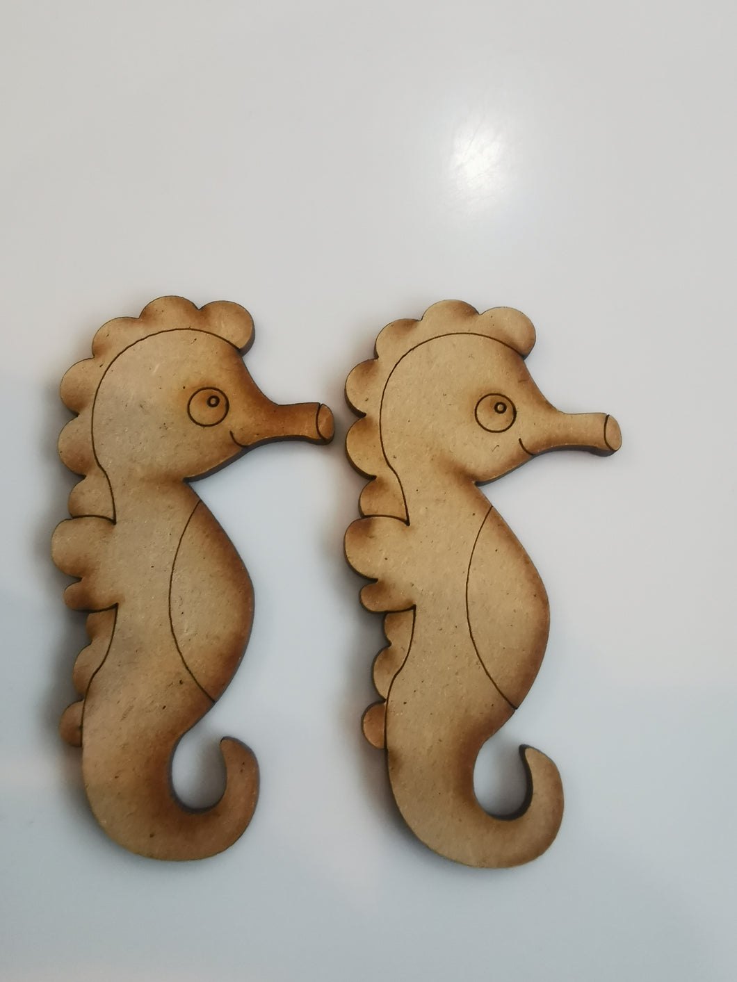 kit caballito de mar grande