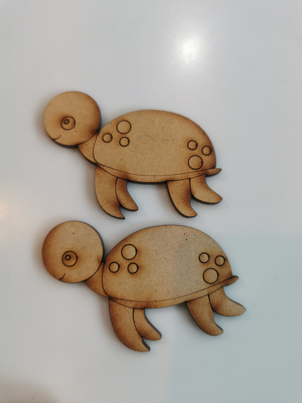 kit tortugas grandes